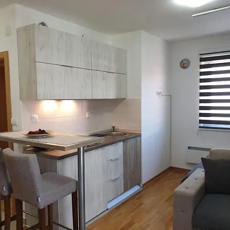 公寓 25 兹拉蒂博尔