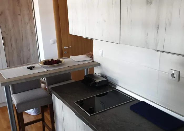 25 * 兹拉蒂博尔