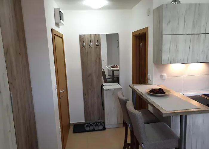 25 * 兹拉蒂博尔